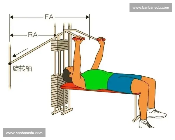 体育科学视角下运动训练优化与人体机能提升机制研究