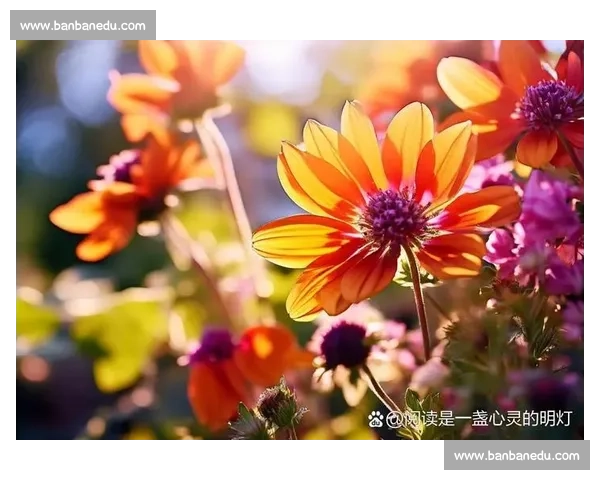花开竞艳，心灵绽放一场关于花卉的盛大比赛与心灵之旅